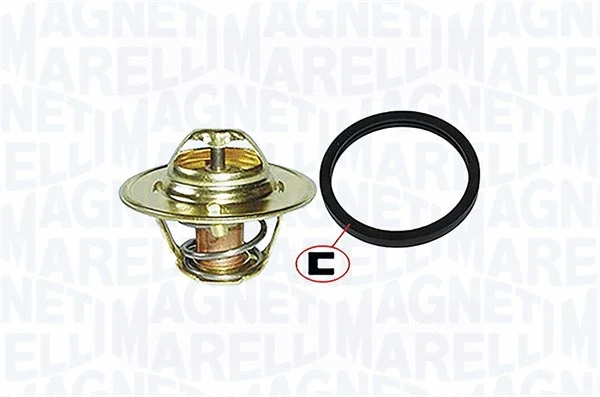 Thermostat, coolant (352317000370)