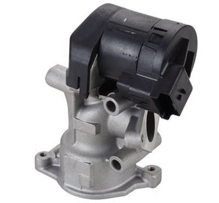 EGR Valve (571822112098)