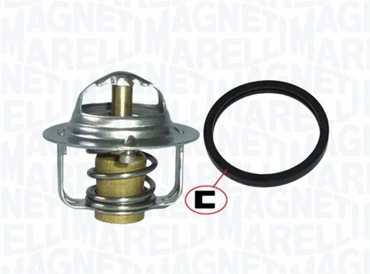 Thermostat, coolant (352317100270)