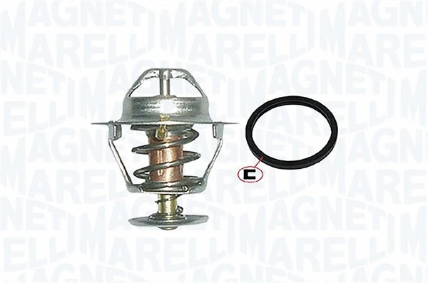 Thermostat, coolant (352317000300)