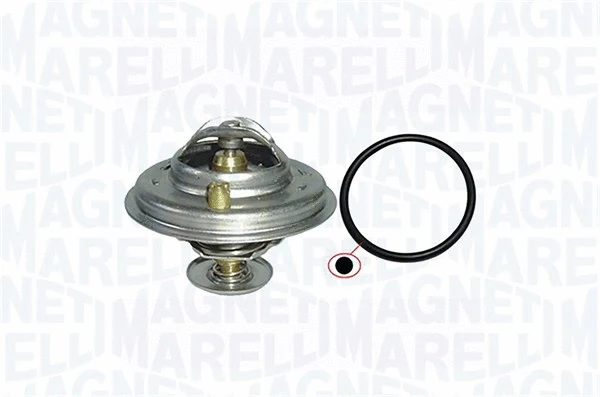 Thermostat, coolant (352317001350)