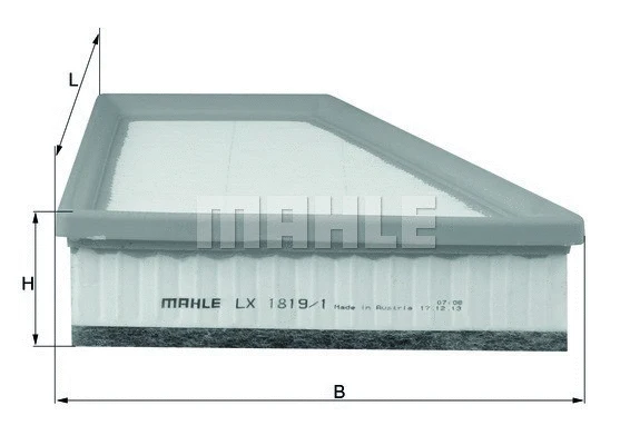 Air Filter (154705139450)