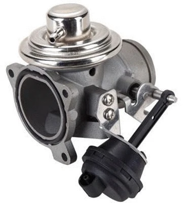 EGR Valve (359000603950)