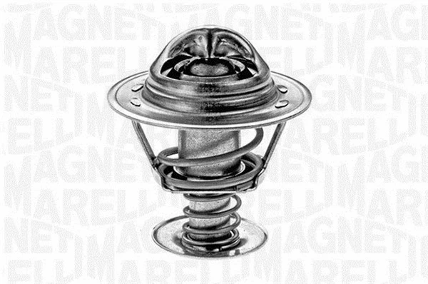 Thermostat, coolant (352021482000)