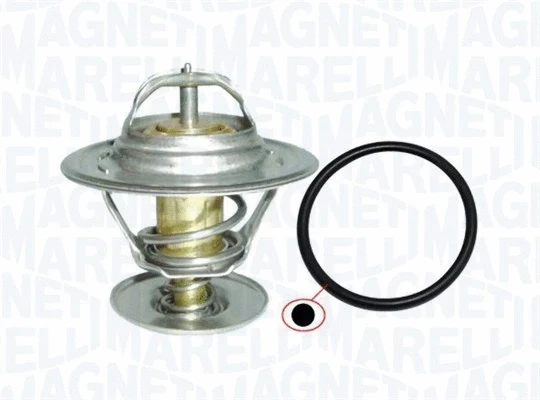 Thermostat, coolant (352317100900)