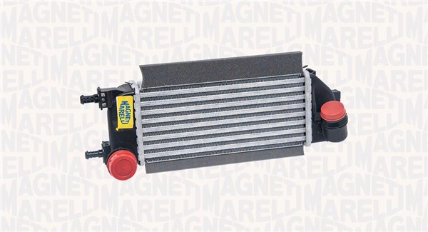 Charge Air Cooler (351319205680)