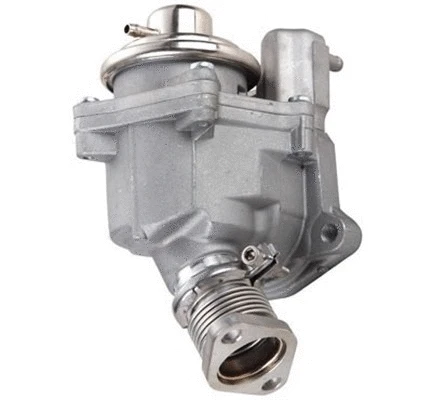 EGR Valve (571822112099)