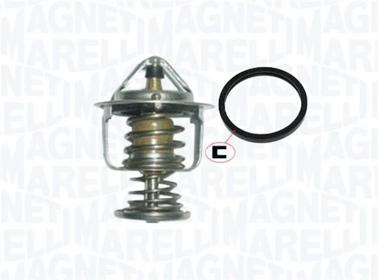 Thermostat, coolant (352317101550)