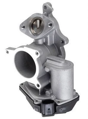 EGR Valve (359000603900)