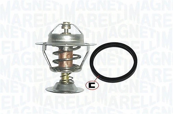 Thermostat, coolant (352317001070)