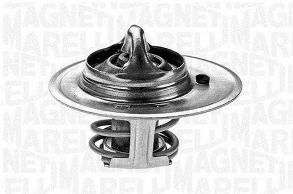Thermostat, coolant (352024188000)