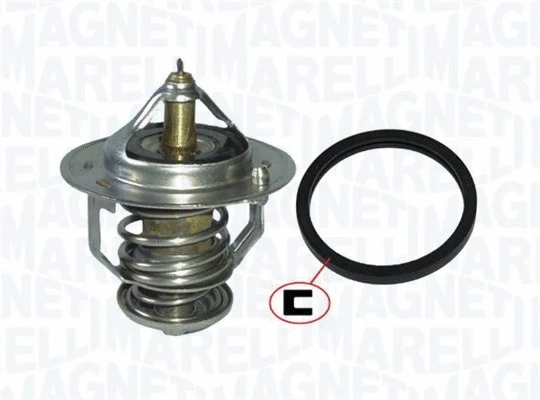 Thermostat, coolant (352317101740)