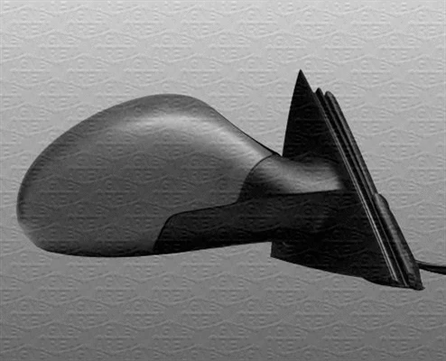 Exterior Mirror (351991116080)