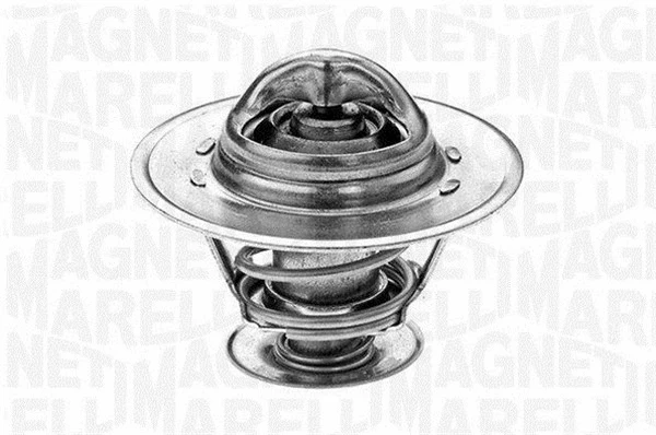 Thermostat, coolant (352023182000)