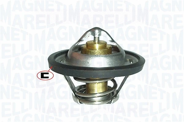 Thermostat, coolant (352317000860)