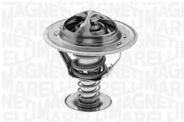 Thermostat, coolant (352055982000)