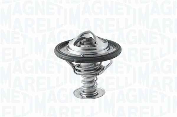 Thermostat, coolant (352062082000)