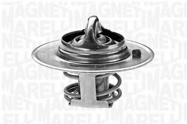 Thermostat, coolant (352027689100)