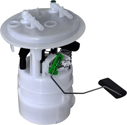 Fuel Supply Module (313011313058)