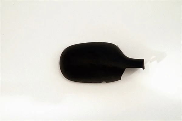 Cover, exterior mirror (351991202240)