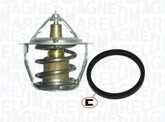 Thermostat, coolant (352317101200)