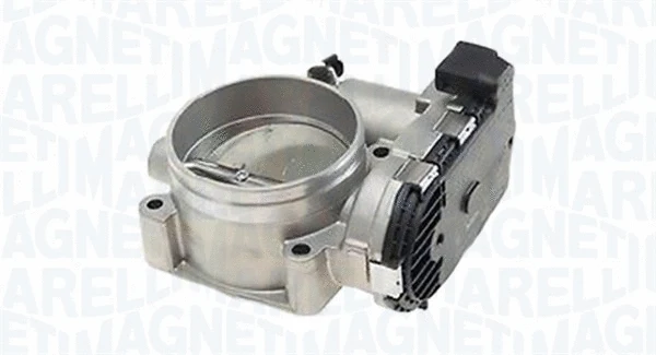 Throttle Body (802000000054)