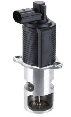 EGR Valve (359000603720)