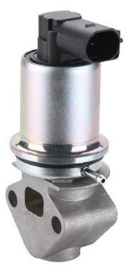 EGR Valve (359000603980)