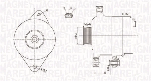 Alternator (063731800010)