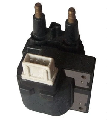 Ignition Coil (060717071012)