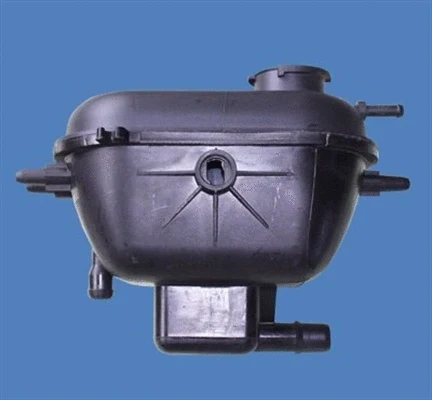Expansion Tank, coolant (359001600480)
