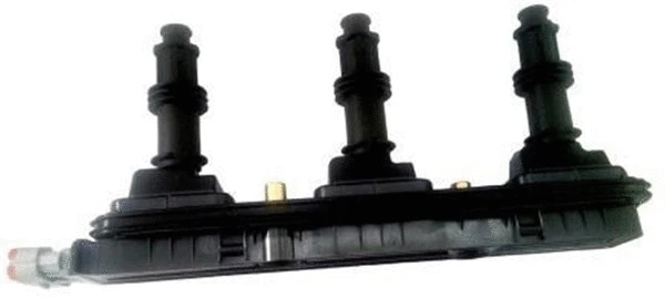 Ignition Coil (060717140012)
