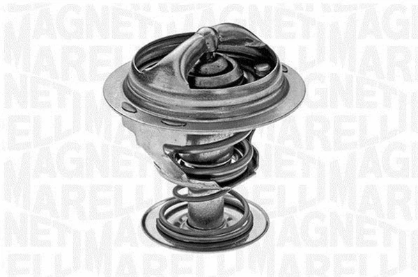 Thermostat, coolant (352048082000)