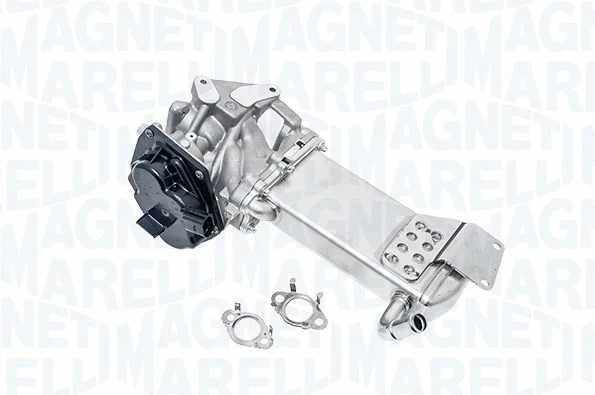 EGR Valve (572022112015)