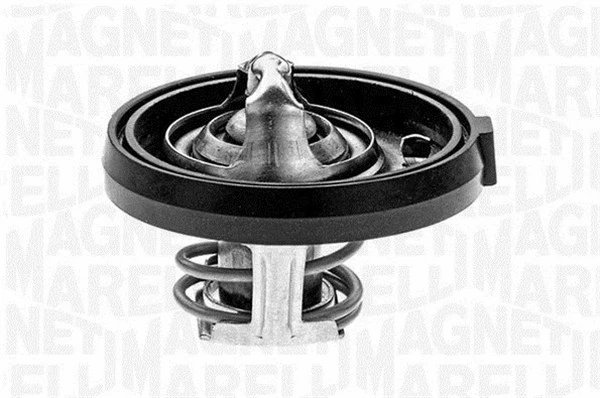 Thermostat, coolant (352034091000)