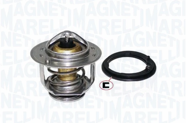 Thermostat, coolant (352317004670)