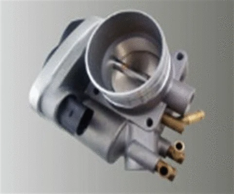 Throttle Body (359000602530)