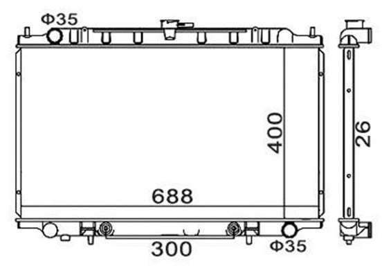 Radiator, engine cooling (359000320150)