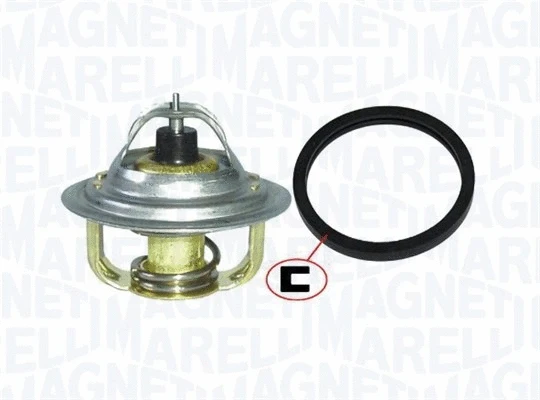 Thermostat, coolant (352317101310)