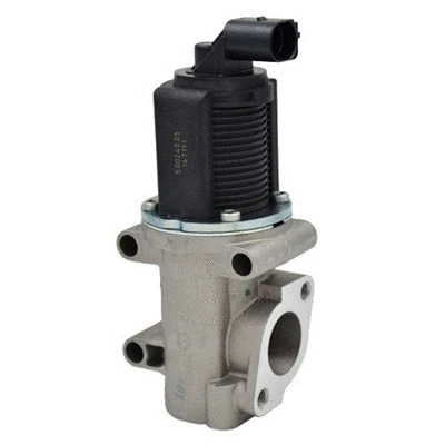 EGR Valve (571822112007)
