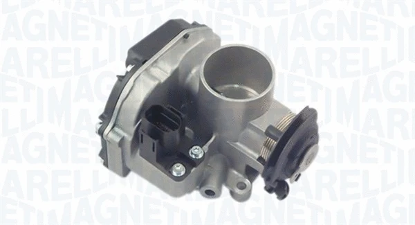 Throttle Body (802000000089)