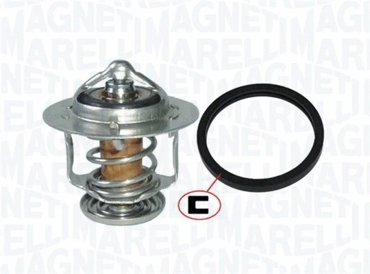 Thermostat, coolant (352317101220)
