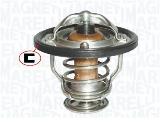 Thermostat, coolant (352317002130)