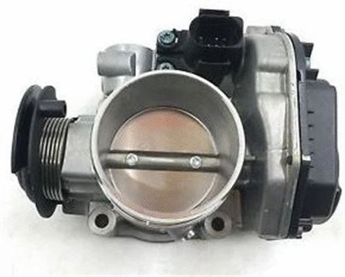 Throttle Body (359000604960)