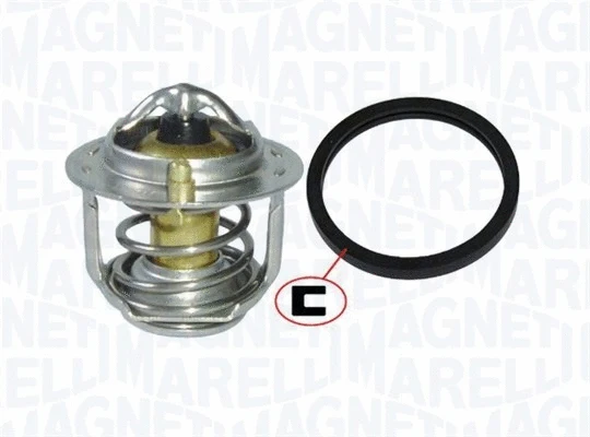 Thermostat, coolant (352317100790)