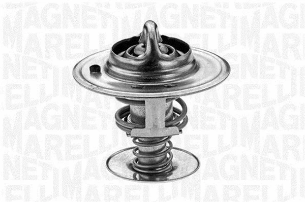 Thermostat, coolant (352033582000)