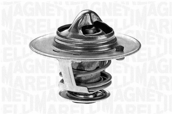 Thermostat, coolant (352055282100)