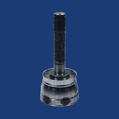 Joint Kit, drive shaft (302015100197)