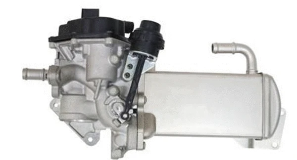 EGR Valve (359000603770)