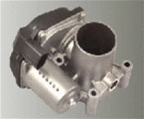 Throttle Body (359000602430)